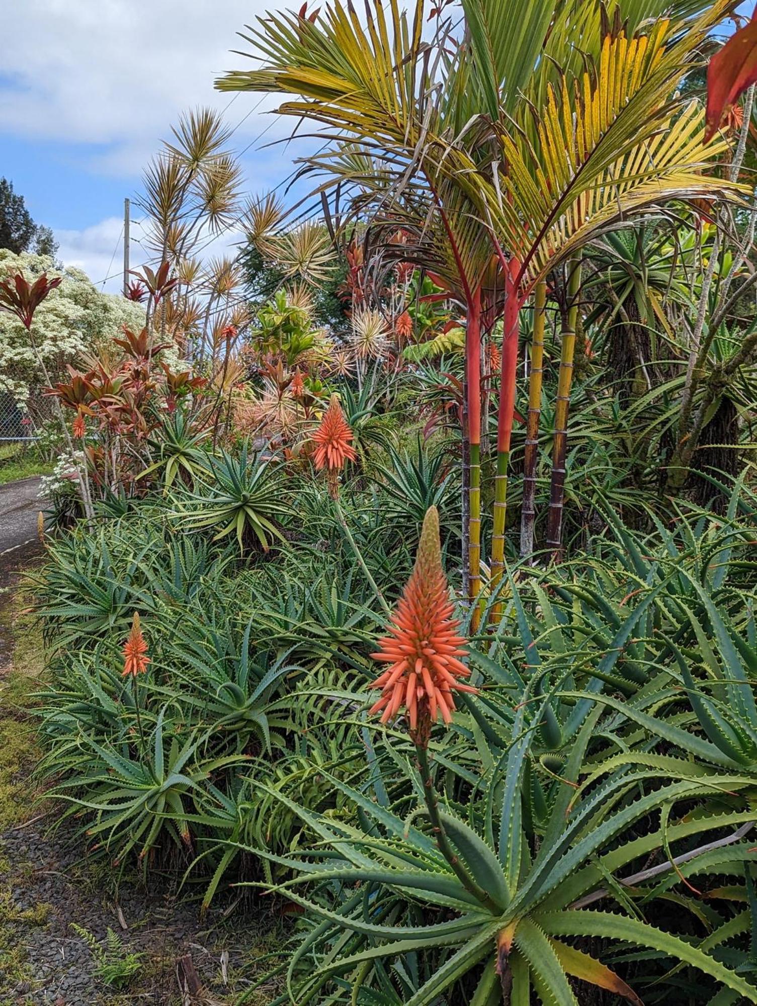 Hilo Luxury Suite Exterior foto
